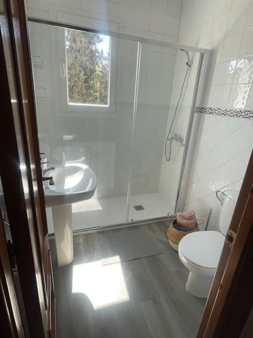 Exclusive Apartamento Limonar Màlaga Exteriér fotografie